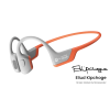 kipchoge-co-branded-edition